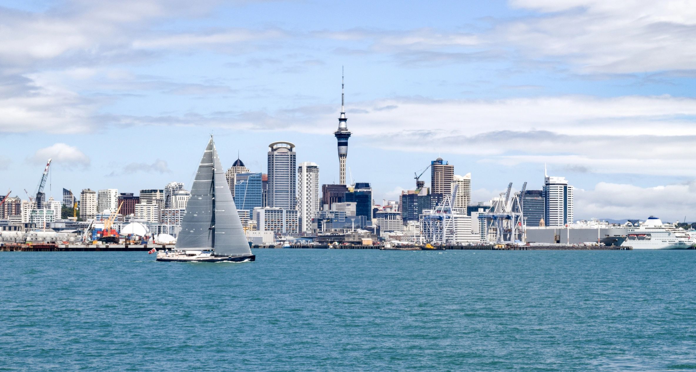 Auckland skyline and waterfront, representing development market insight