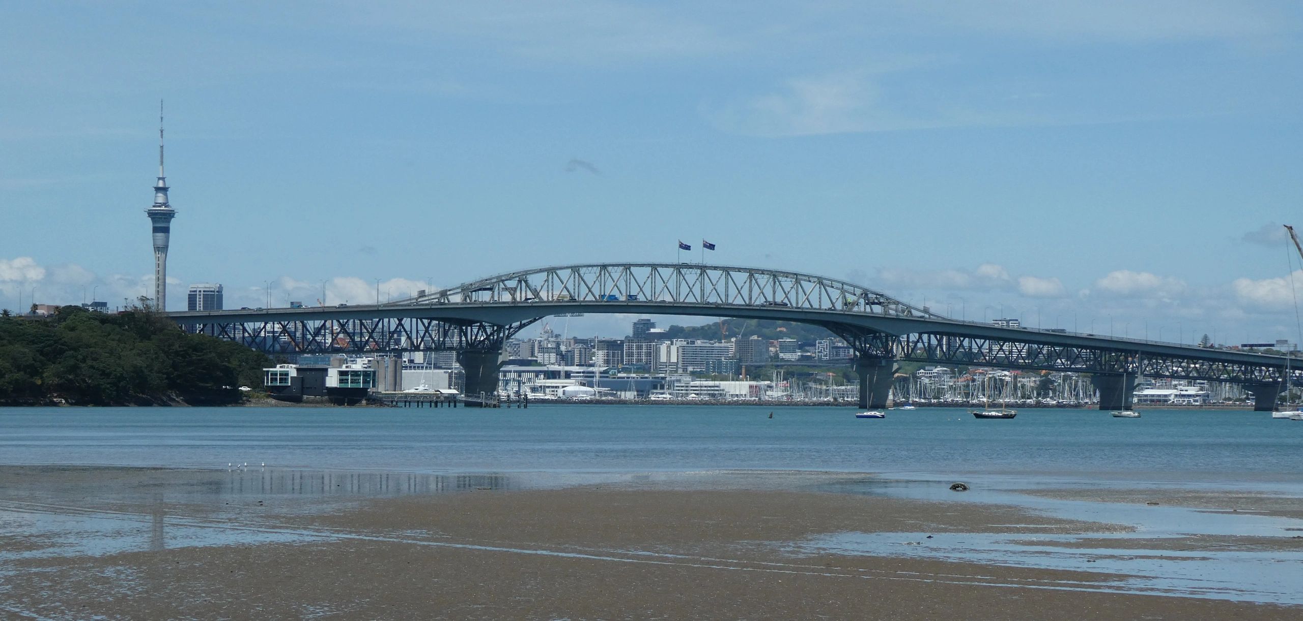 Auckland commercial property skyline representing asset management expertise