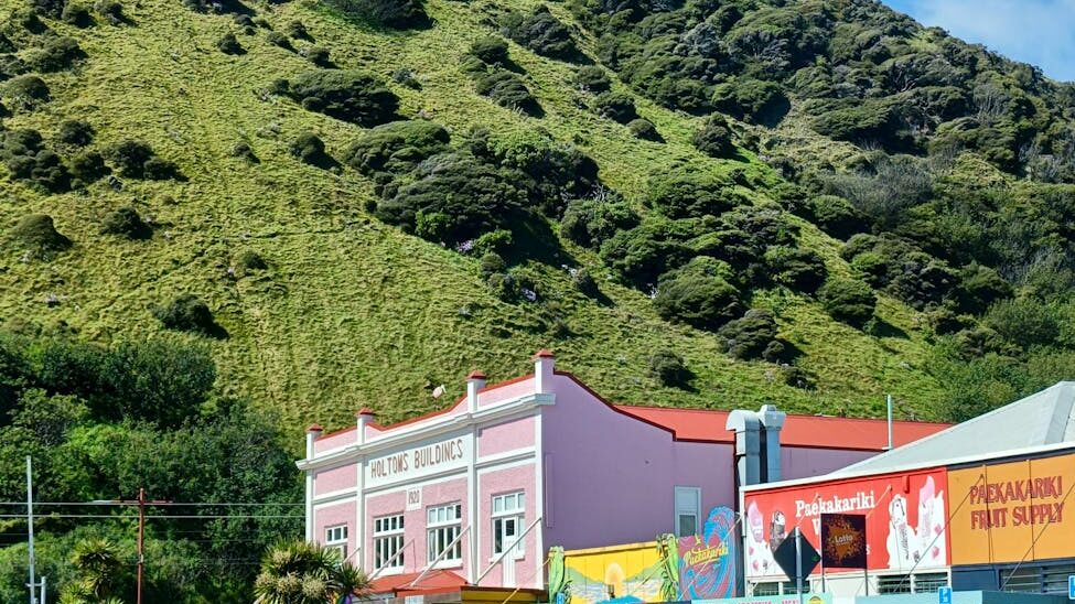 charming shops in sunny paekakariki new zealand